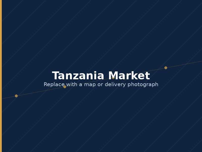 Tanzania market focus