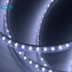 24V 2835 LED Strip 120 LED/m IP65 5 m